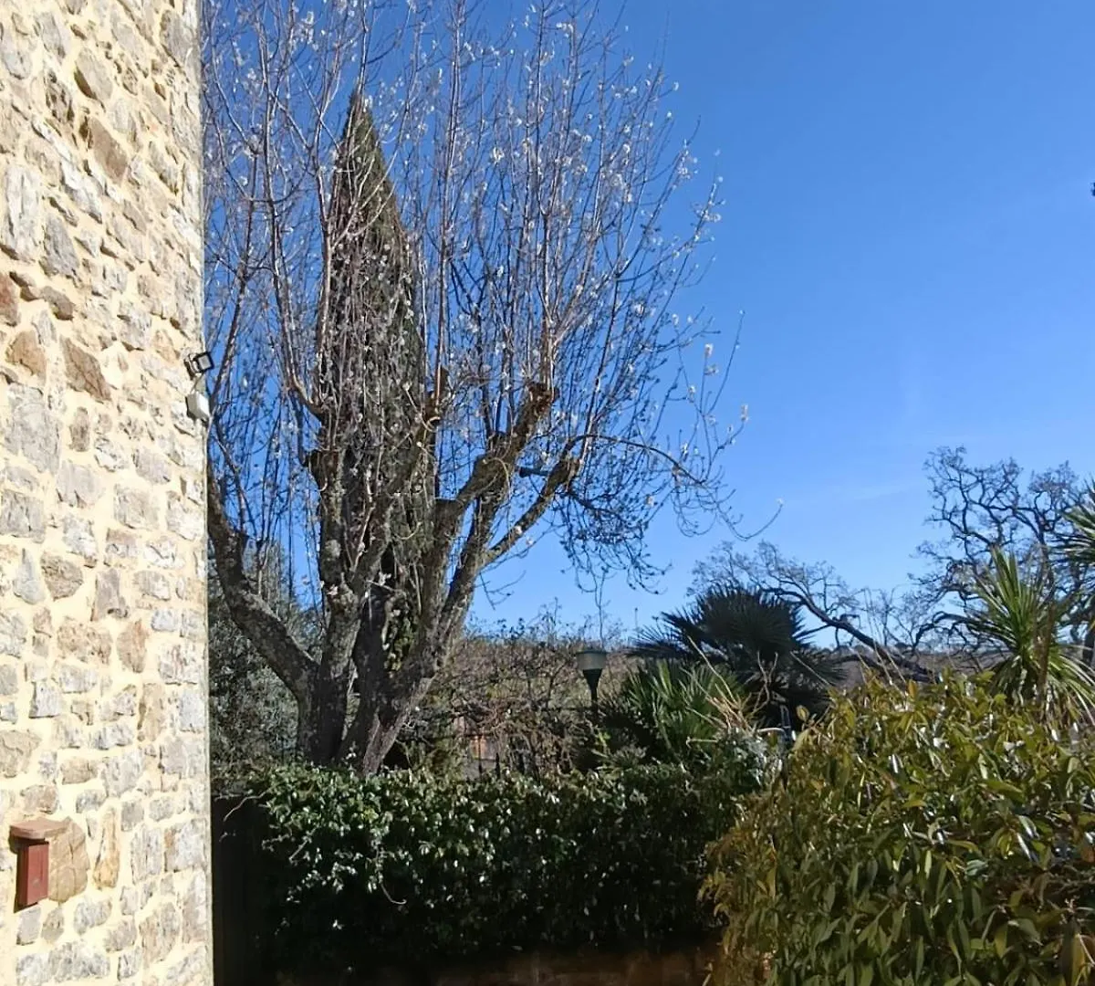Апартаменты Giuma Tuscany Historic Country House With Patio Near Saturnia Spa Монтемерано